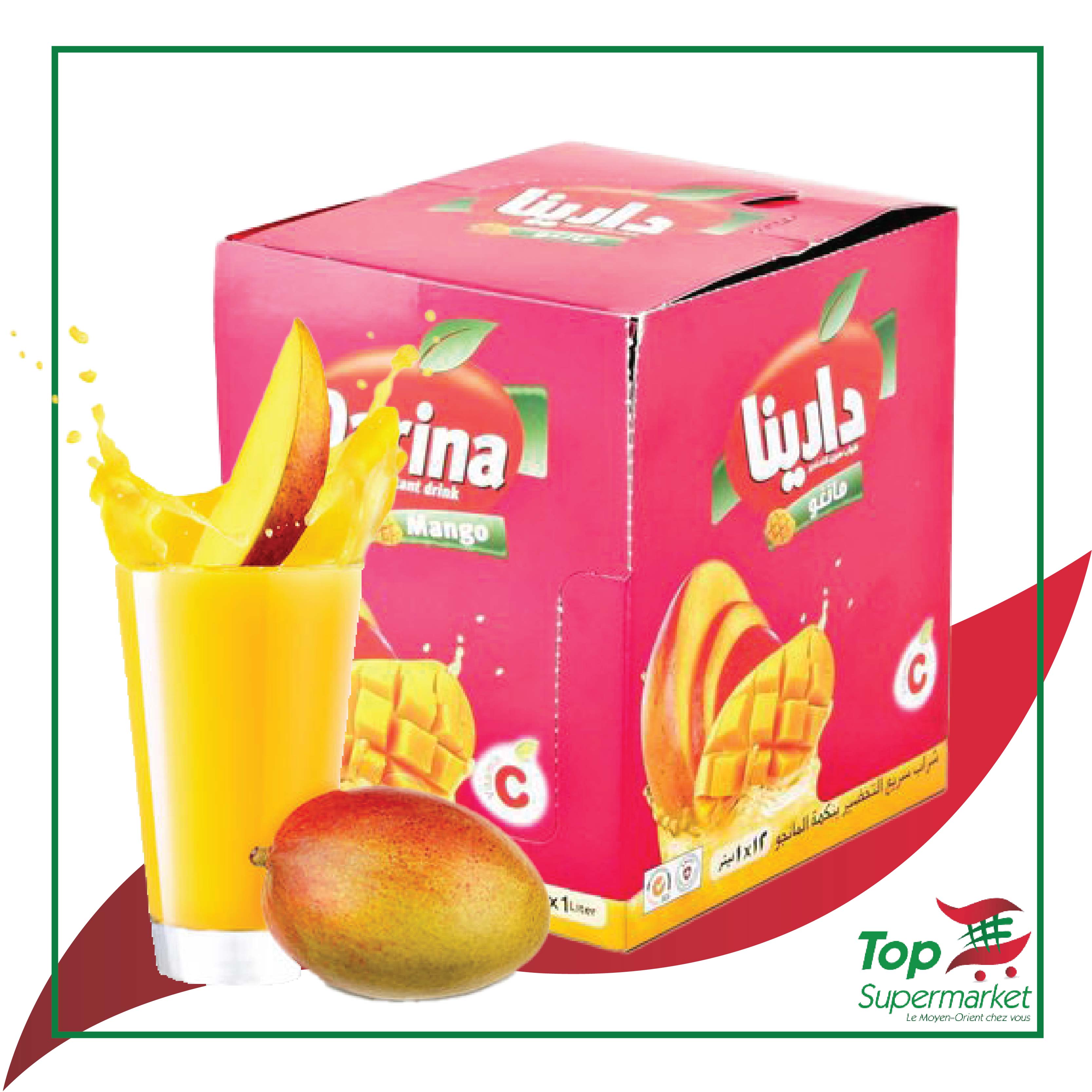 Darina jus en poudre mangue (12x30gr)